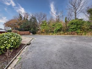 Photo 42- click for photo gallery